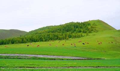 丰宁云中草原露营地 - 场地环境
